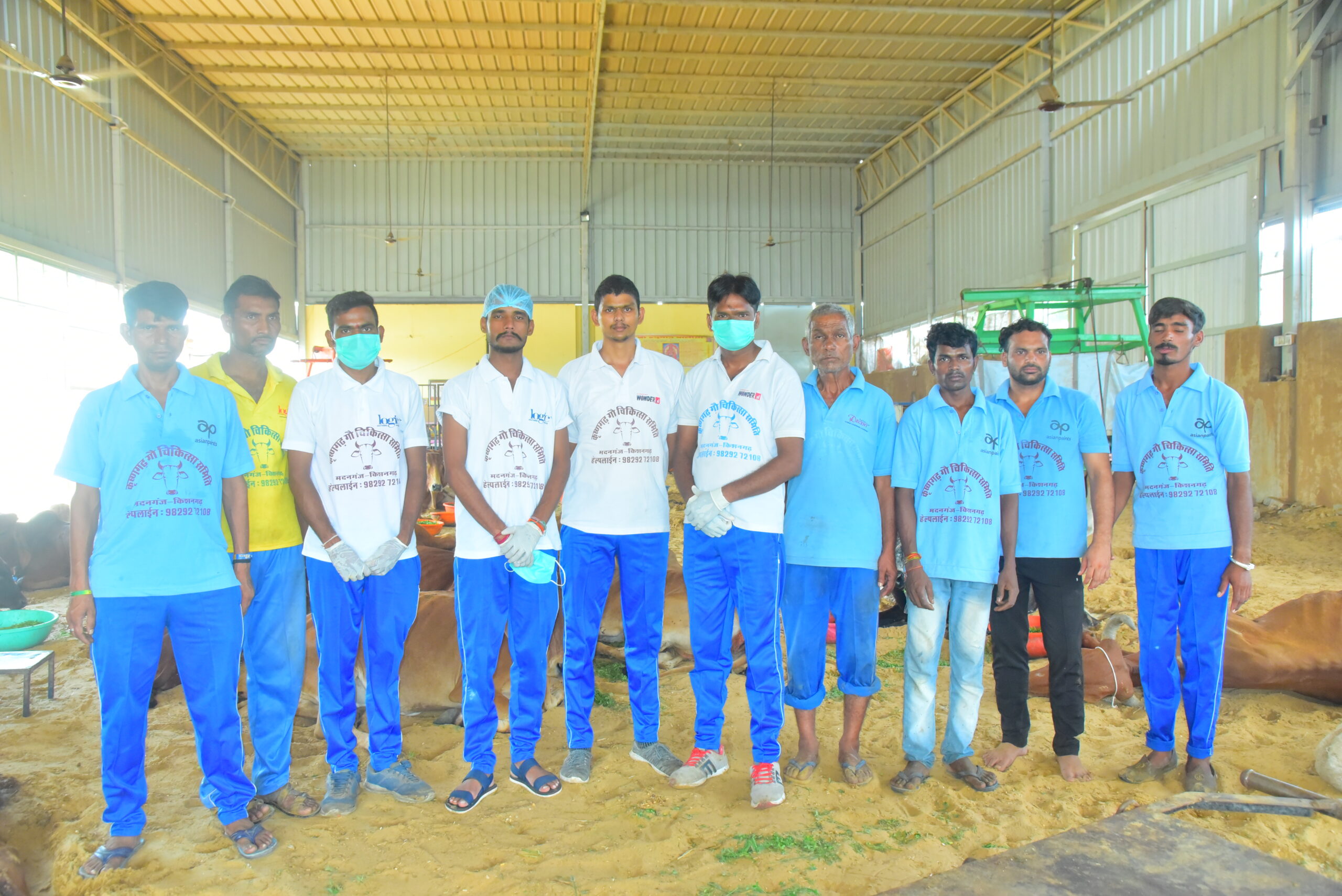 Krishangarh GauChikitsa Samiti caring for injured cows and animals in Kishangarh