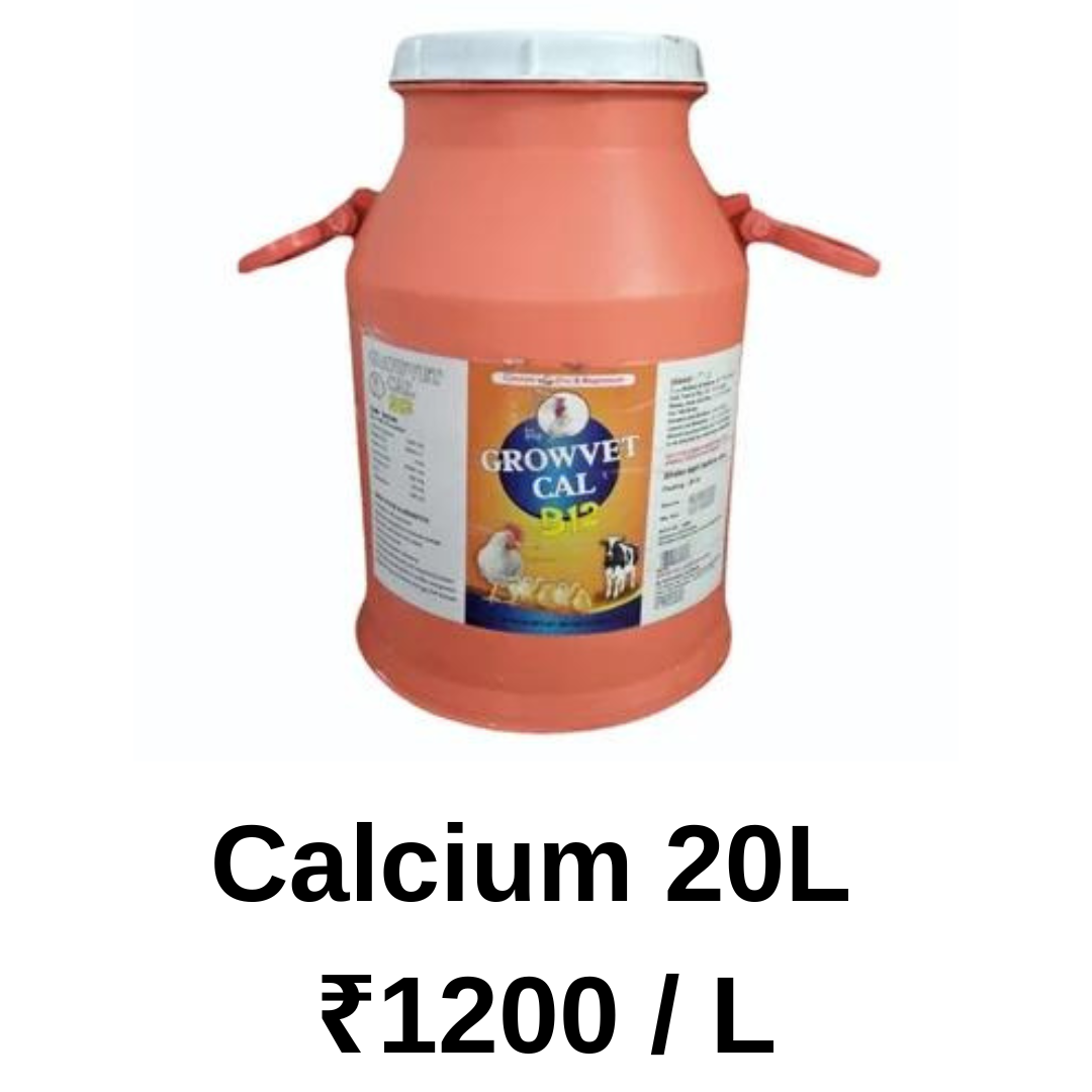 Calcium 