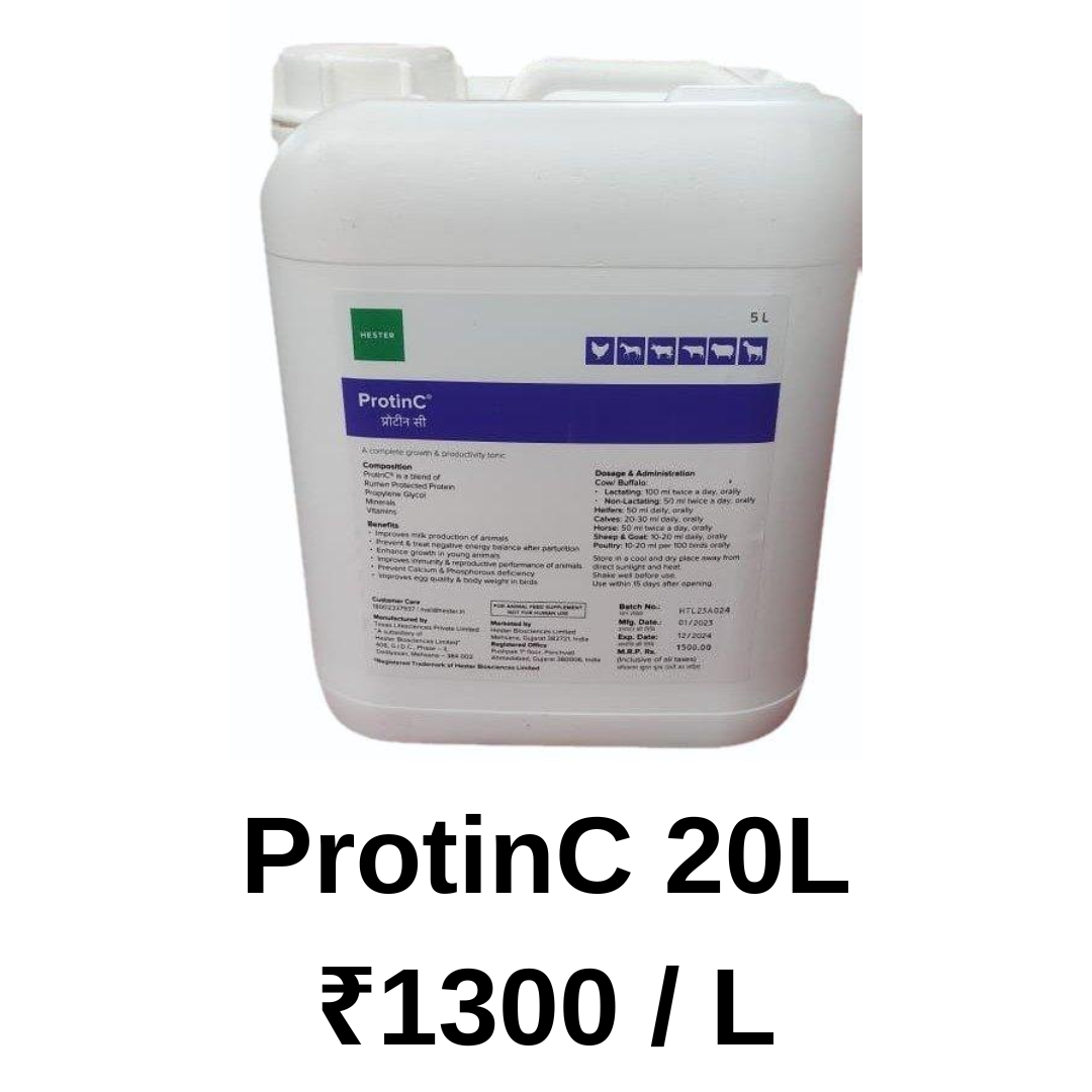 ProtinC 