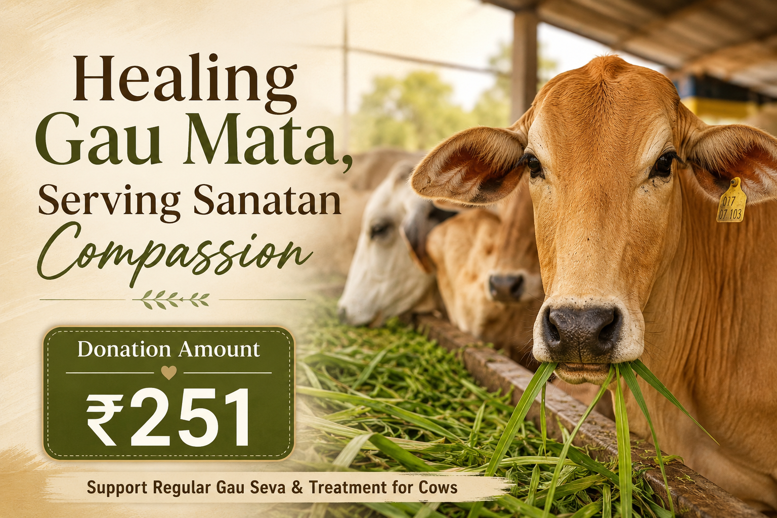 Healing Gau Mata, Serving Sanatan Compassion