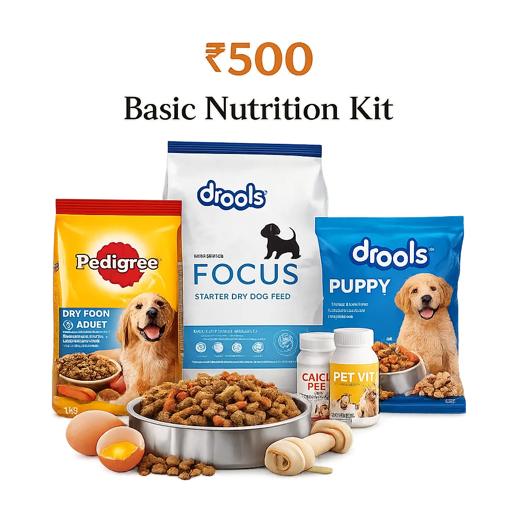  Basic Nutrition Kit