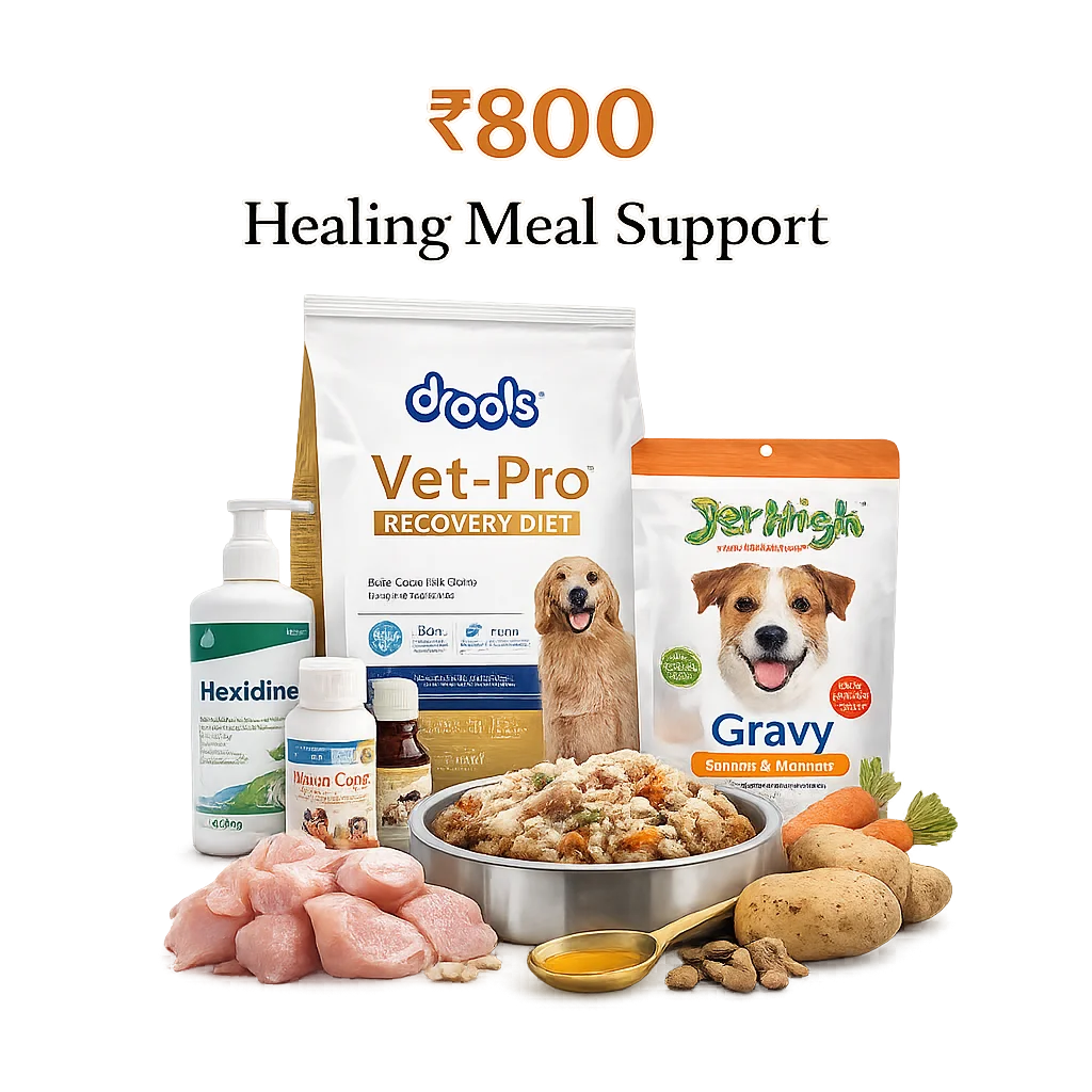 Healing Meal Support