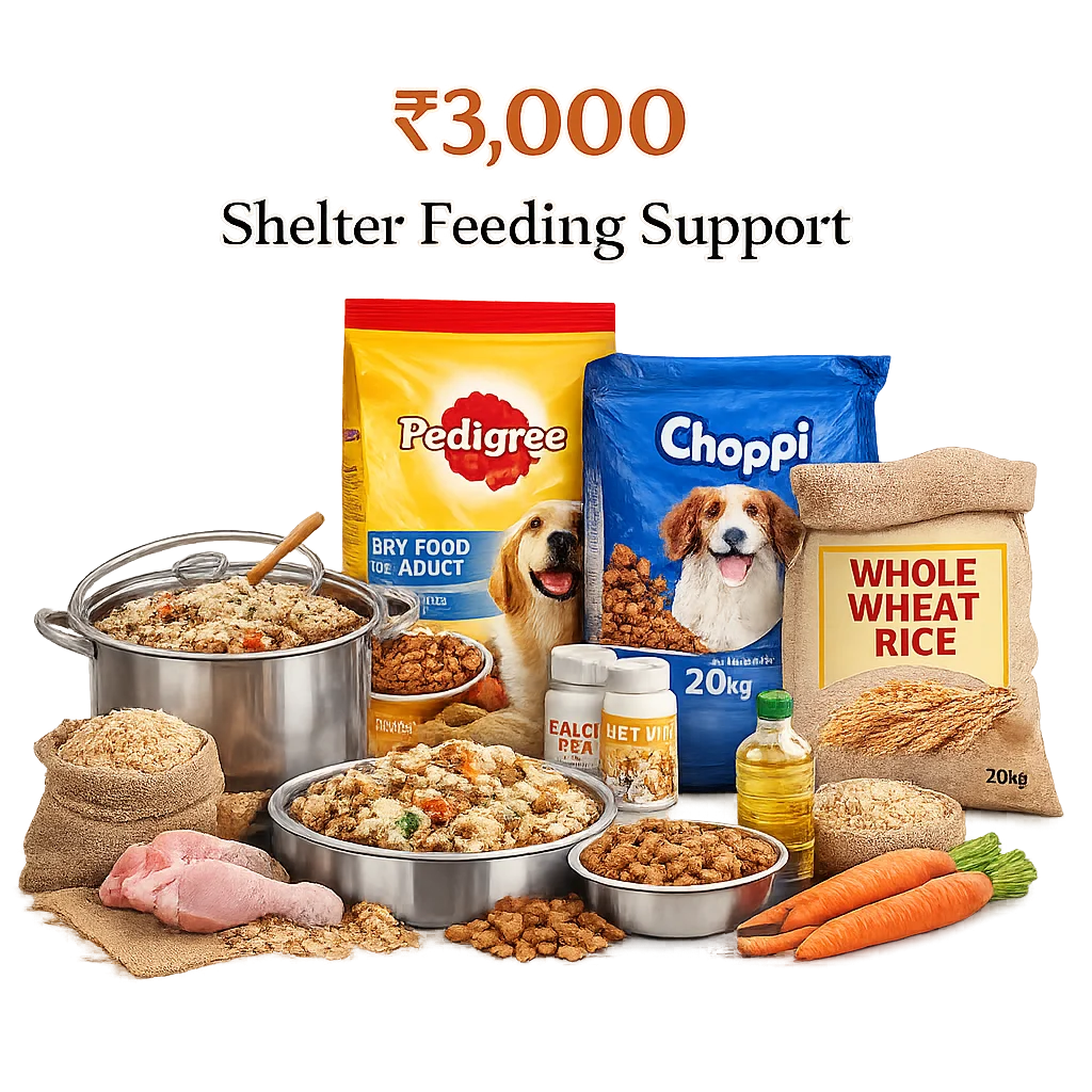 Shelter Feeding Support